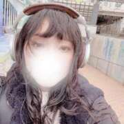 ヒメ日記 2026/04/10 15:45 投稿 ひつじ Noble