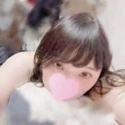 ヒメ日記 2026/04/20 14:25 投稿 ひつじ Noble