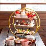 ヒメ日記 2026/03/04 08:52 投稿 ゆきな 大高・大府市・東海市ちゃんこ