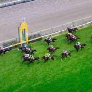 ゆきな お題コーナー(⁠◕⁠ᴗ⁠◕⁠✿⁠) 大高・大府市・東海市ちゃんこ