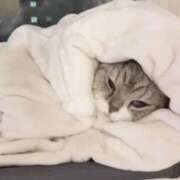 ヒメ日記 2026/03/05 09:08 投稿 ゆきな 大高・大府市・東海市ちゃんこ