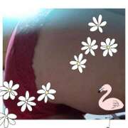 ヒメ日記 2026/03/15 09:16 投稿 ゆきな 大高・大府市・東海市ちゃんこ