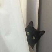 ヒメ日記 2026/03/16 19:23 投稿 ゆきな 大高・大府市・東海市ちゃんこ