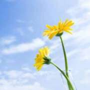 ヒメ日記 2026/03/18 08:27 投稿 ゆきな 大高・大府市・東海市ちゃんこ