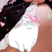 ヒメ日記 2026/03/29 02:13 投稿 ゆきな 大高・大府市・東海市ちゃんこ