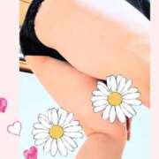 ヒメ日記 2026/03/29 20:53 投稿 ゆきな 大高・大府市・東海市ちゃんこ