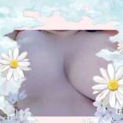 ヒメ日記 2026/03/30 01:23 投稿 ゆきな 大高・大府市・東海市ちゃんこ