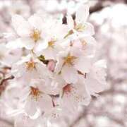 ヒメ日記 2026/04/02 08:03 投稿 ゆきな 大高・大府市・東海市ちゃんこ