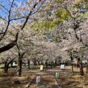 ヒメ日記 2026/04/03 15:03 投稿 ゆきな 大高・大府市・東海市ちゃんこ