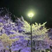 ヒメ日記 2026/04/05 01:13 投稿 ゆきな 大高・大府市・東海市ちゃんこ