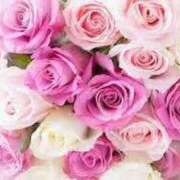 ヒメ日記 2026/04/12 03:13 投稿 ゆきな 大高・大府市・東海市ちゃんこ