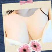 ヒメ日記 2026/04/14 07:41 投稿 ゆきな 大高・大府市・東海市ちゃんこ