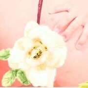 ヒメ日記 2026/04/14 13:03 投稿 ゆきな 大高・大府市・東海市ちゃんこ