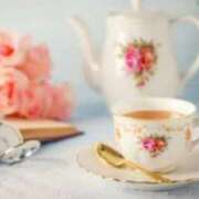 ヒメ日記 2026/04/15 05:13 投稿 ゆきな 大高・大府市・東海市ちゃんこ