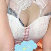 しのぶ おはよう💓 虹色メロンパイ 横浜店