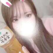 ヒメ日記 2026/03/14 19:48 投稿 みに 白いぽっちゃりさん