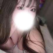 ヒメ日記 2026/03/24 01:02 投稿 みに 白いぽっちゃりさん