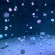 ヒメ日記 2026/03/04 10:55 投稿 ひなみ Evolution1st キタ兎我野店