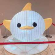 ヒメ日記 2026/03/03 14:17 投稿 はく 錦糸町人妻セレブリティ（ユメオト）