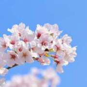 ヒメ日記 2026/03/18 14:13 投稿 はく 錦糸町人妻セレブリティ（ユメオト）