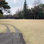 ヒメ日記 2026/03/18 10:27 投稿 ほたる 池袋人妻城