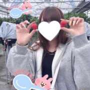 ヒメ日記 2026/04/11 18:29 投稿 るう 舐めたくてグループ〜ペロンチョ学園〜八王子校