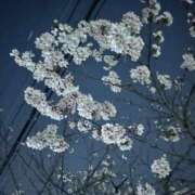 ヒメ日記 2026/03/29 08:15 投稿 柊あき 奴隷志願！変態調教飼育クラブ梅田店