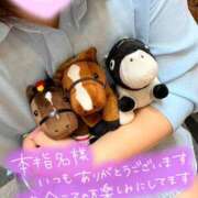 ヒメ日記 2026/04/11 17:59 投稿 まお 成田人妻花壇