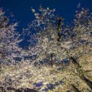 ヒメ日記 2026/04/08 23:42 投稿 みゆ ニューミラージュ