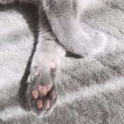 ヒメ日記 2026/04/08 12:31 投稿 まな CLUB PIAA