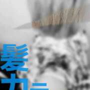 ヒメ日記 2026/04/21 16:44 投稿 梨紅(りく) PLUS難波店