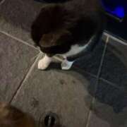 ヒメ日記 2026/03/04 05:19 投稿 じゅり『新人割DEEP対応』 今ドキ マットMAX