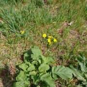 ヒメ日記 2026/03/14 17:25 投稿 湊 人妻風俗チャンネル