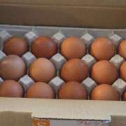 ヒメ日記 2026/04/09 20:06 投稿 湊 人妻風俗チャンネル