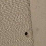 ヒメ日記 2026/04/20 09:31 投稿 湊 人妻風俗チャンネル