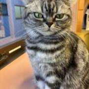 ヒメ日記 2026/03/05 13:31 投稿 佐倉ひまり MADAM