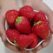 ヒメ日記 2026/03/05 14:16 投稿 佐倉ひまり MADAM