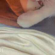 ヒメ日記 2026/03/12 00:04 投稿 りんね 熟女の風俗最終章 仙台店