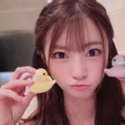 ヒメ日記 2026/04/01 22:06 投稿 いと 鹿鳴館