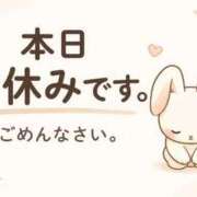 ヒメ日記 2026/04/10 10:43 投稿 ゆり One More 奥様　錦糸町店