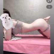 ヒメ日記 2026/04/19 10:45 投稿 りお ジャパンクラブ富士