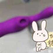 ヒメ日記 2026/04/09 17:19 投稿 蓮実 丸妻 西船橋店