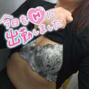 ヒメ日記 2026/04/13 14:12 投稿 蓮実 丸妻 西船橋店