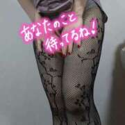 ヒメ日記 2026/04/23 16:17 投稿 蓮実 丸妻 西船橋店