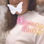 ヒメ日記 2026/09/29 07:04 投稿 蓮実 丸妻 西船橋店