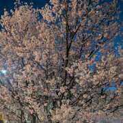 ヒメ日記 2026/03/29 18:41 投稿 吉野 池田マッサージ