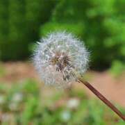 ヒメ日記 2026/04/15 22:26 投稿 吉野 池田マッサージ