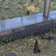 ヒメ日記 2026/04/19 16:04 投稿 吉野 池田マッサージ