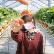 ヒメ日記 2026/04/17 12:59 投稿 逢坂 みる アリス女学院 日本橋校