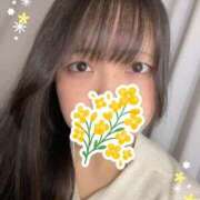 ヒメ日記 2026/03/21 09:51 投稿 まなみ S級美女専門　ロイヤルリング